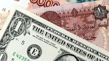 تطورات جديدة في سعر الدولار مقابل الجنيه بالبنوك خلال تعاملات الجمعة 27 فبراير
